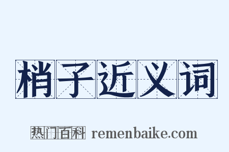 梢子近义词是什么意思的图片